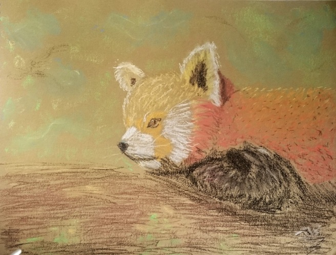 Red Panda in Chalk Pastel